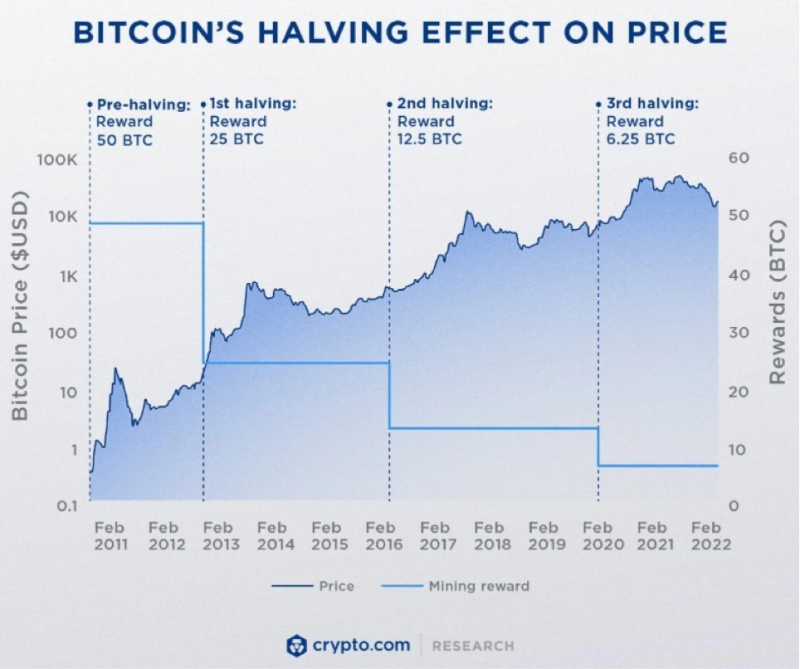 Bitcoin Halving: Expectativas para agosto 2024